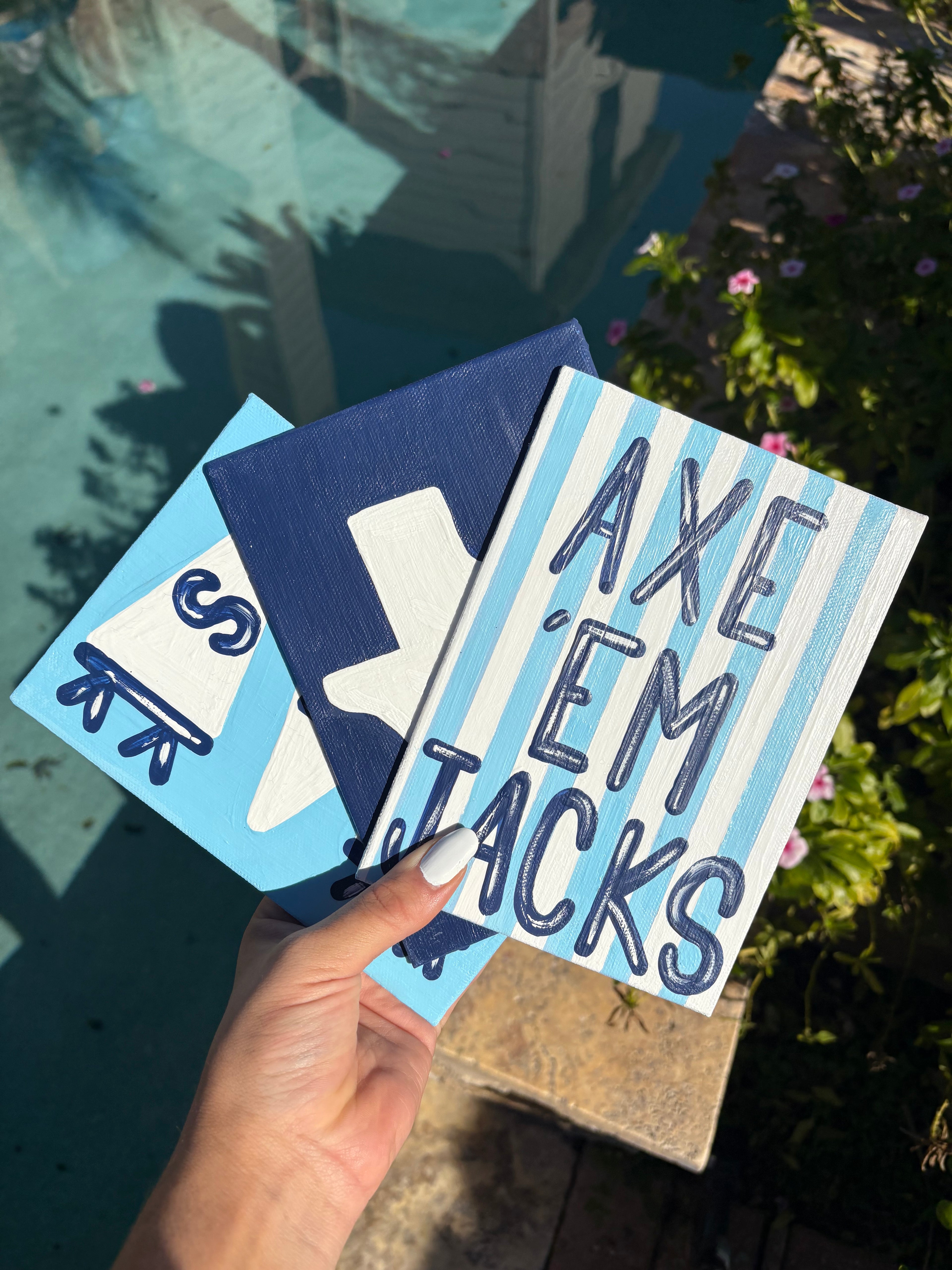 Mini Canvas 3 Pack!