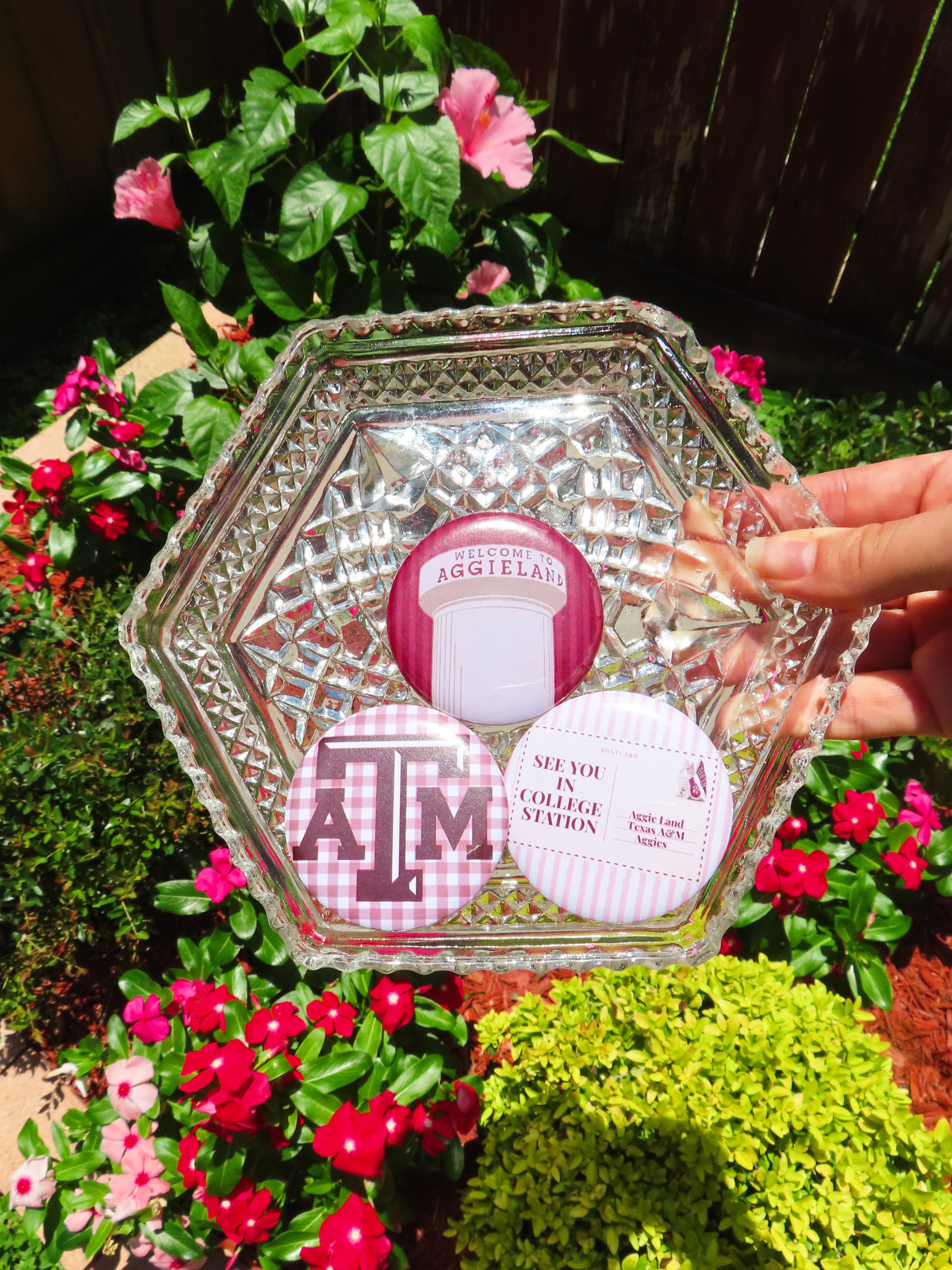 Aggie Buttons!